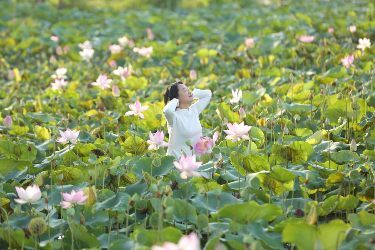 Lotus Hotel Ninh Binh Eksteriør billede