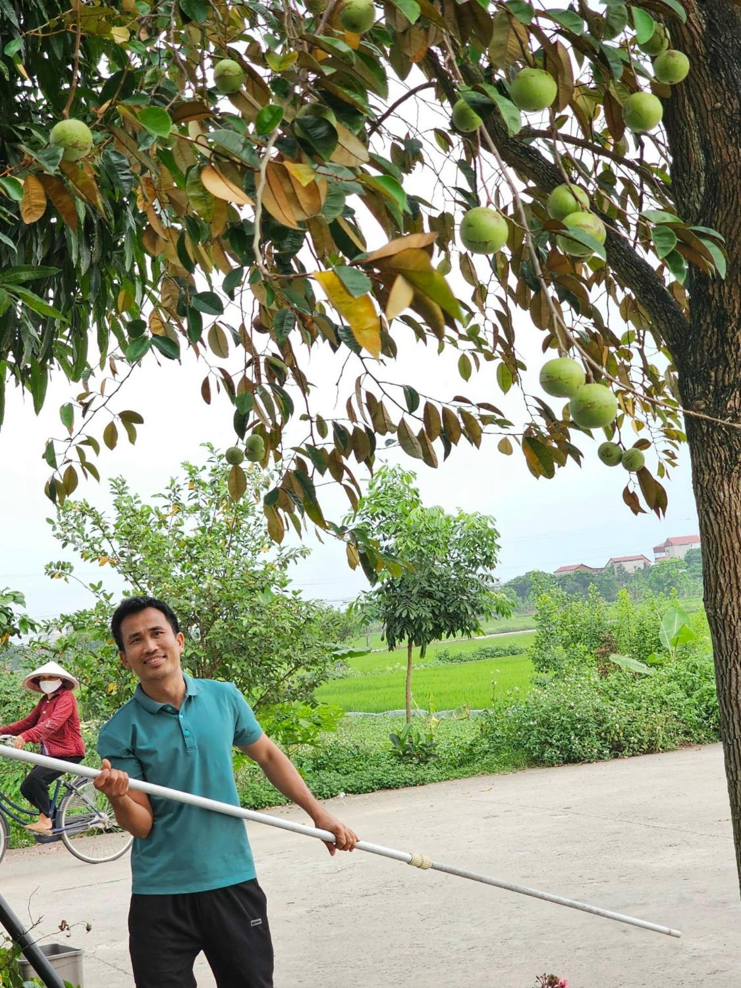 Lotus Hotel Ninh Binh Eksteriør billede