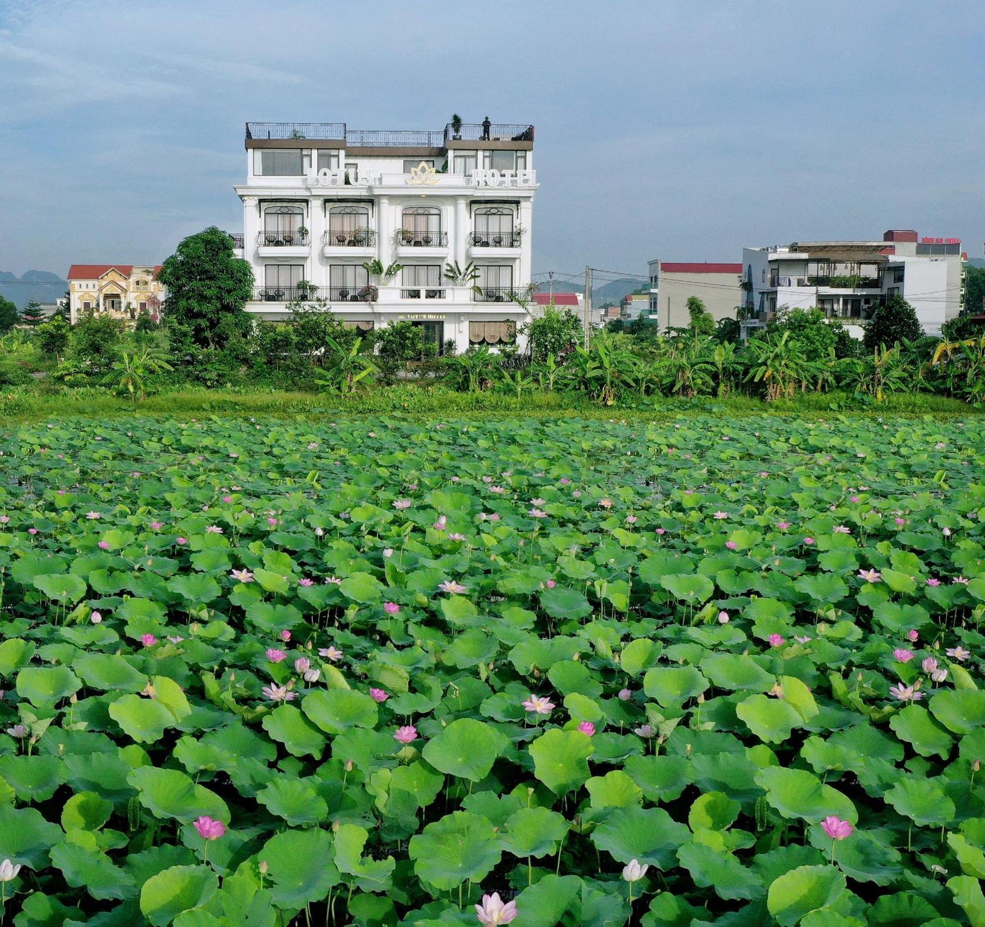 Lotus Hotel Ninh Binh Eksteriør billede